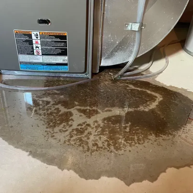 Appliance Leak Cleanup in Marlton, NJ